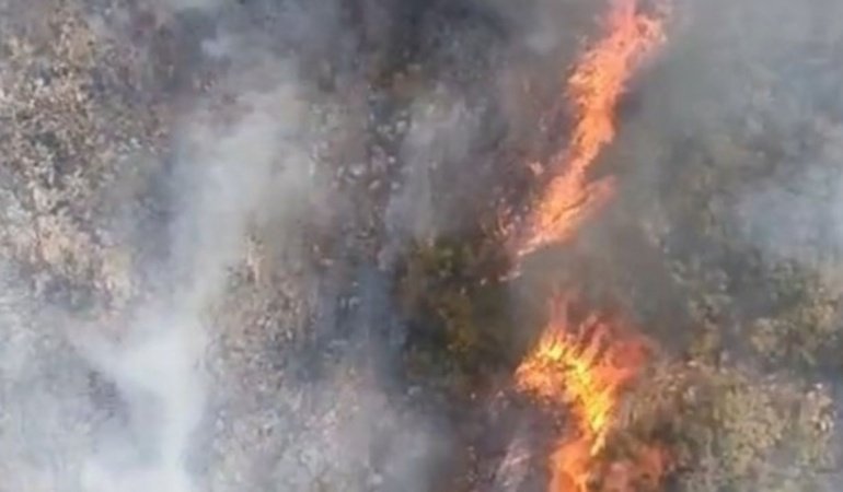 Alevler ormana sıçradı! Bursa’da yangına müdahale sürüyor