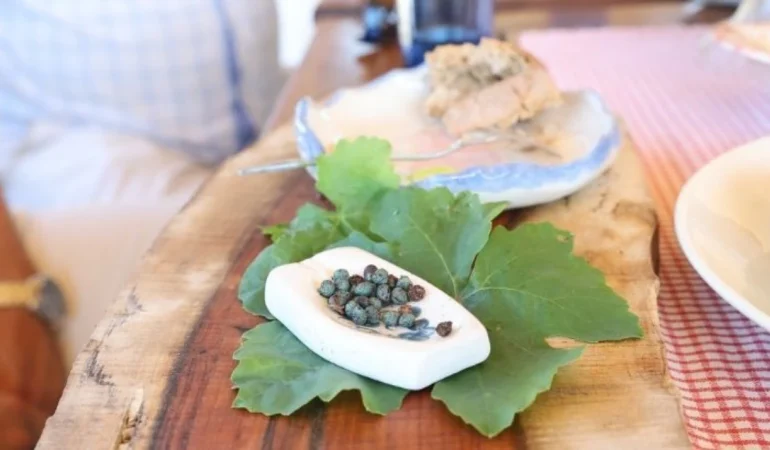 Agro Bodrum Rotası Artık Daha Görünür