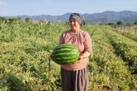 Beyagacta-ata-tohumundan-gelen-bereket-featured