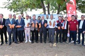 Tefenlili-Cevizde-basariya-giden-yol-badem-icin-ornek-olacak-featured