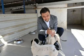 AK-Parti-Bodrumdan-Hayvan-Barinagina-Ziyaret-featured