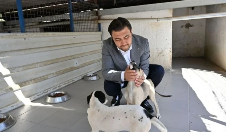AK Parti Bodrum’dan Hayvan Barınağı’na Ziyaret
