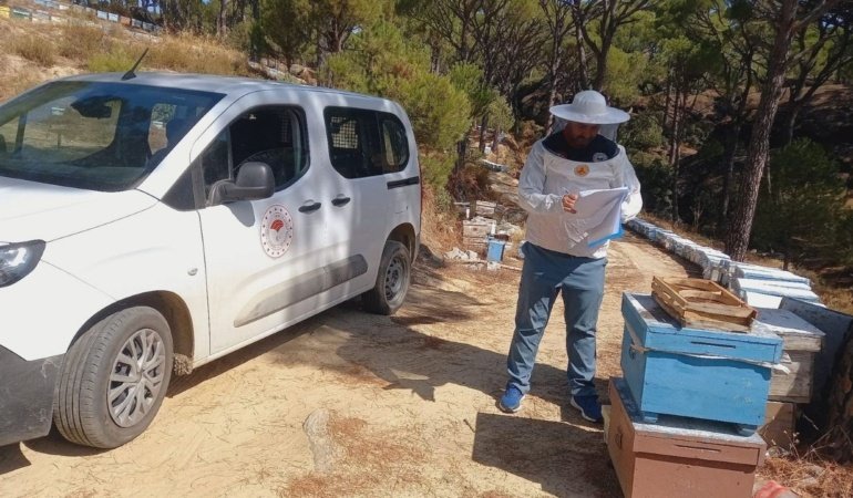 Arıcılara yönelik saha çalışmaları başladı