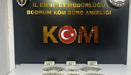 Bodrumda-46-bin-200-sahte-dolar-ele-gecirildi-Bir-kisi-tutuklandi-featured
